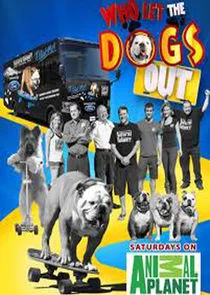 Affiche de Who Let the Dogs Out