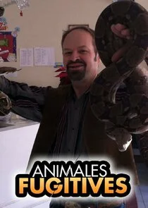 Animal Fugitives poster