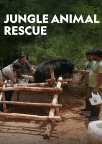 Jungle Animal Rescue poster