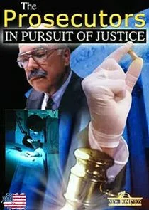Affiche de The Prosecutors: In Pursuit of Justice
