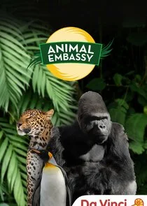 Affiche de Animal Embassy