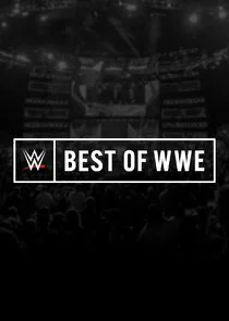 The Best of WWE Poster