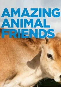 Póster de Amazing Animal Friends