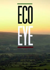 Eco Eye Poster
