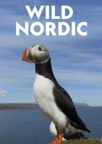 Wild Nordic poster