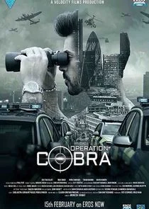 Affiche de Operation Cobra