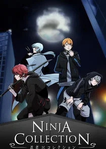 Plakat Ninja Collection