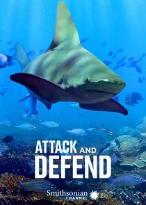 Attack and Defend poster