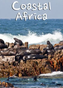 Coastal Africa poster