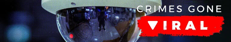 Galerie 6