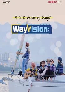 Póster de WayVision
