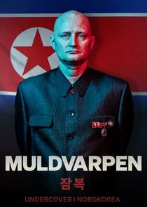 Affiche de La taupe
