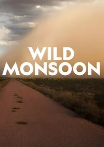 Affiche de Wild Monsoon