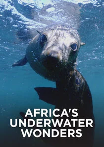 Póster de Maravillas Submarinas de Africa
