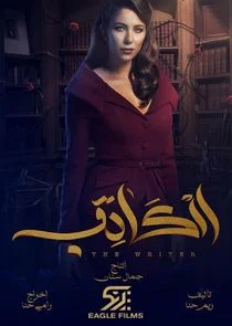 Póster de The Writer