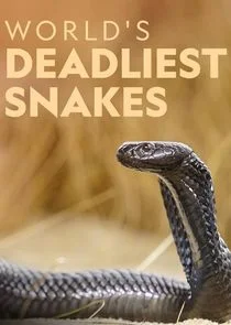 Póster de Las serpientes más letales del mundo