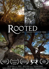 Póster de Rooted