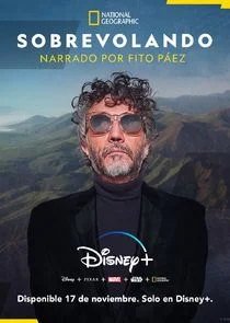 Sobrevolando poster