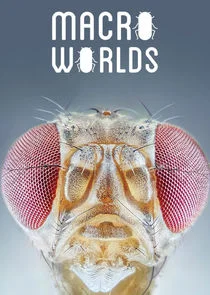 Pôster de Macro Worlds