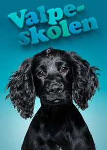 Valpeskolen poster