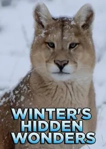 Pôster de Winter's Hidden Wonders