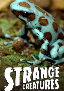 Póster de Strange Creatures