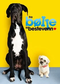 Fra bÄ‚Â¸lle til bestevenn