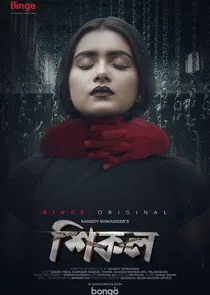 Affiche de Shikol