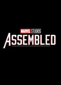 Marvel Studios: Gemeinsam Unbesiegbar Poster