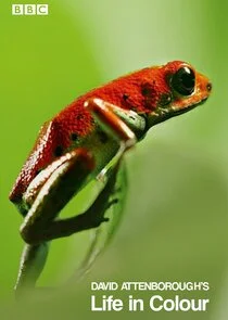 David Attenborough: la vita a colori
