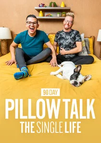 Póster de 90 Day Pillow Talk: The Single Life