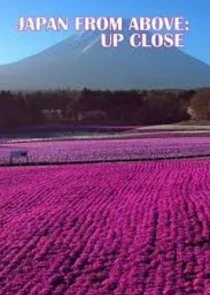 Japan von oben: nah dran Poster