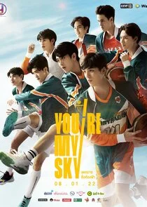 Poster di You're My Sky