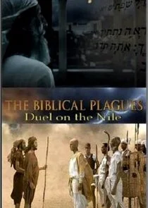 The Biblical Plagues Poster