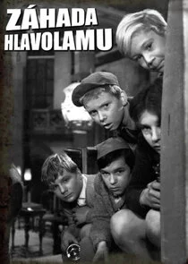 Affiche de Záhada hlavolamu