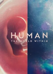 Póster de Dentro del cuerpo humano