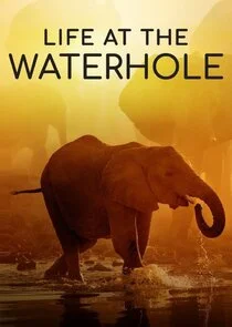 Póster de Life at the Waterhole