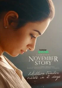 Affiche de November Story