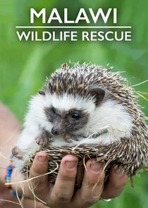 Póster de Centro de rescate en Malaui