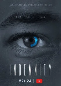 INDEMNITY: The Rabbit Hole Poster