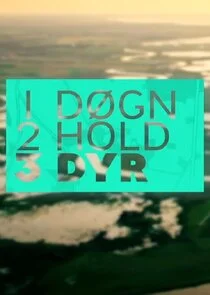 Póster de 1 dÄ‚Â¸gn, 2 hold, 3 dyr