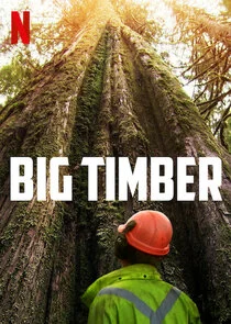 Big Timber Poster