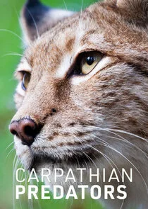 Póster de Carpathian Predators