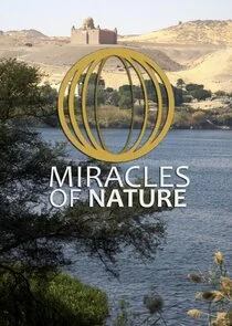 Póster de Miracles of Nature