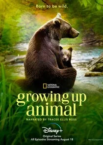 Tierisch gute Erziehung Poster