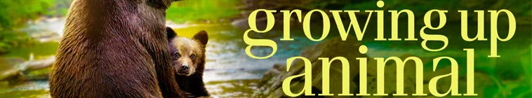 Galerie 1