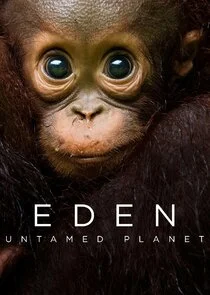 Eden auf Erden Poster