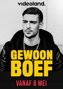 Póster de Gewoon Boef
