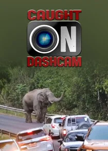 Dashcam - Die schlimmsten Autofahrer der Welt Poster