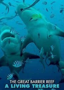 Das Great Barrier Reef - Schatzkiste der Natur Poster